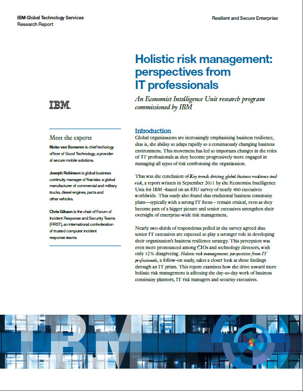 Holistic risk management: perspectives from IT professionals