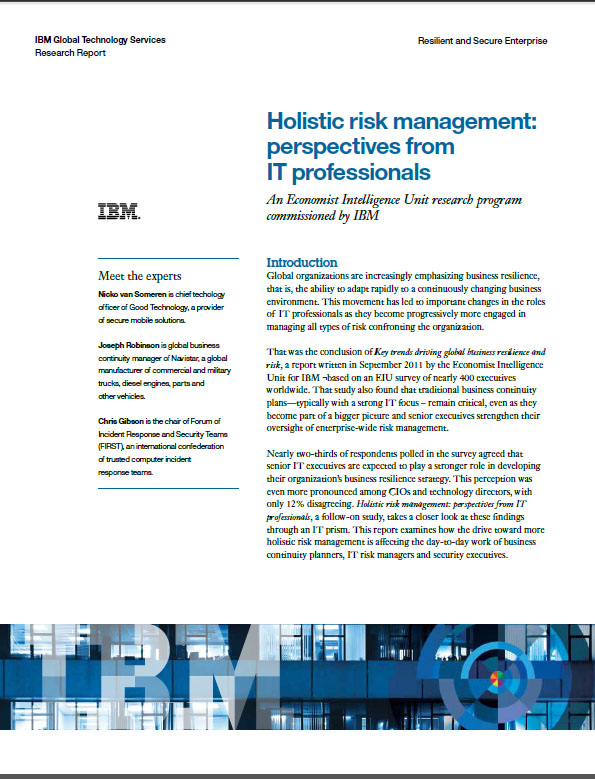 Holistic risk management: perspectives from IT professionals