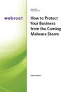 How to Protect Your Business from the Coming Malware Storm