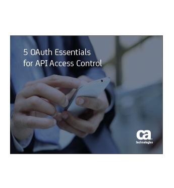 5 OAuth Essentials for API Access Control