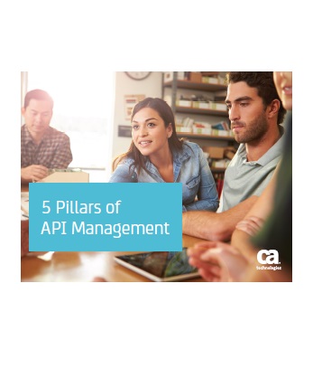 5 Pillars of API Management