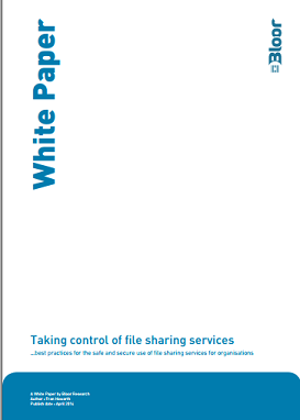 Bloor: Take control of large file sharing