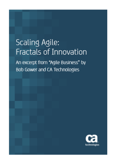 Scaling Agile:  Fractals of Innovation