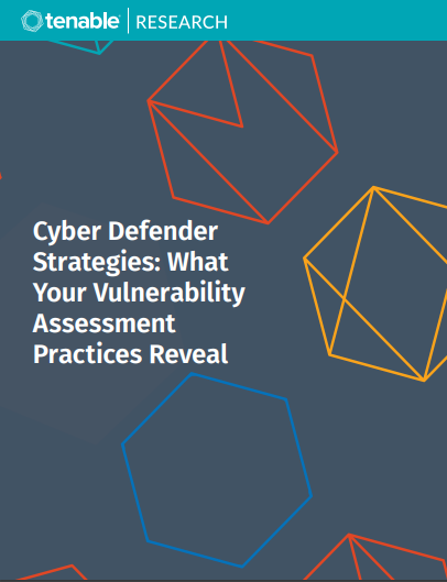 Cyber Defender Strategies: What Your Vulnerability Assessment Practices Reveal