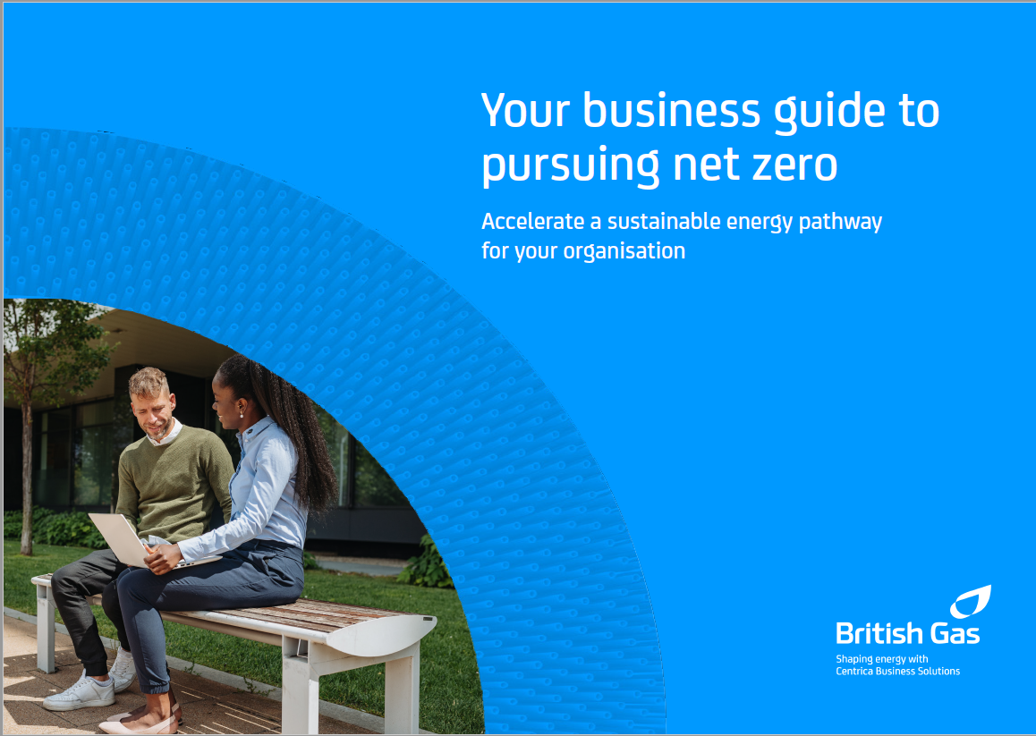 Your business guide to pursuing net zero